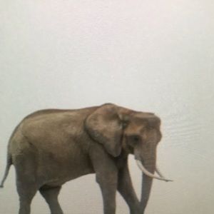 Meet your Posher, Marco